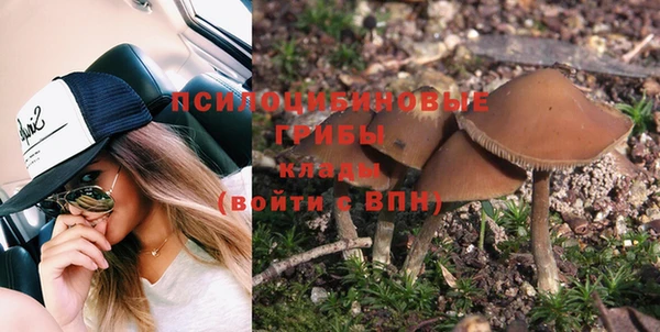 a pvp Беломорск