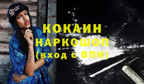дживик Белокуриха