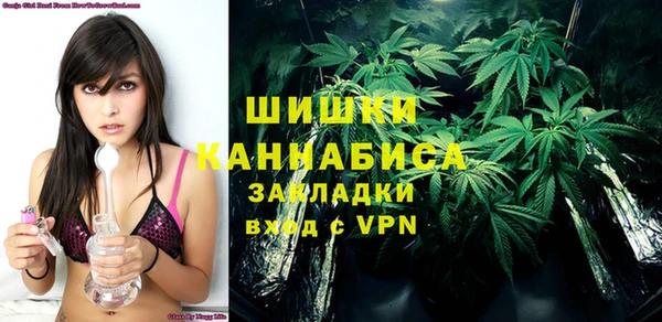 дживик Белокуриха