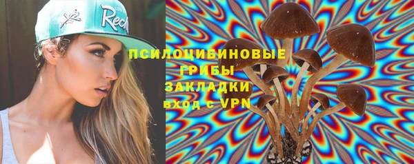 дживик Белокуриха